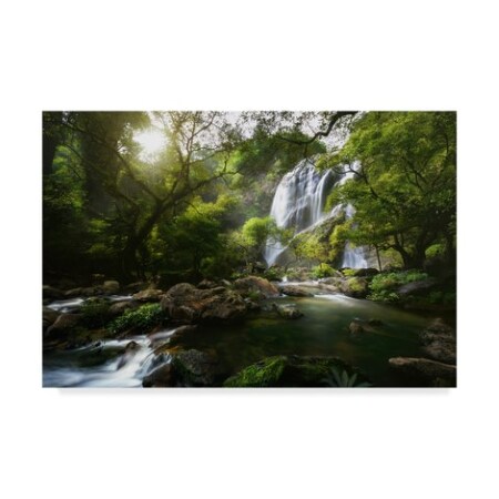 Patrick Foto 'Mountain Stream Waterfall' Canvas Art,22x32